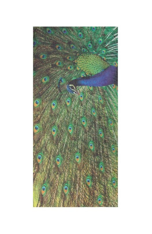 SCARF Peacock