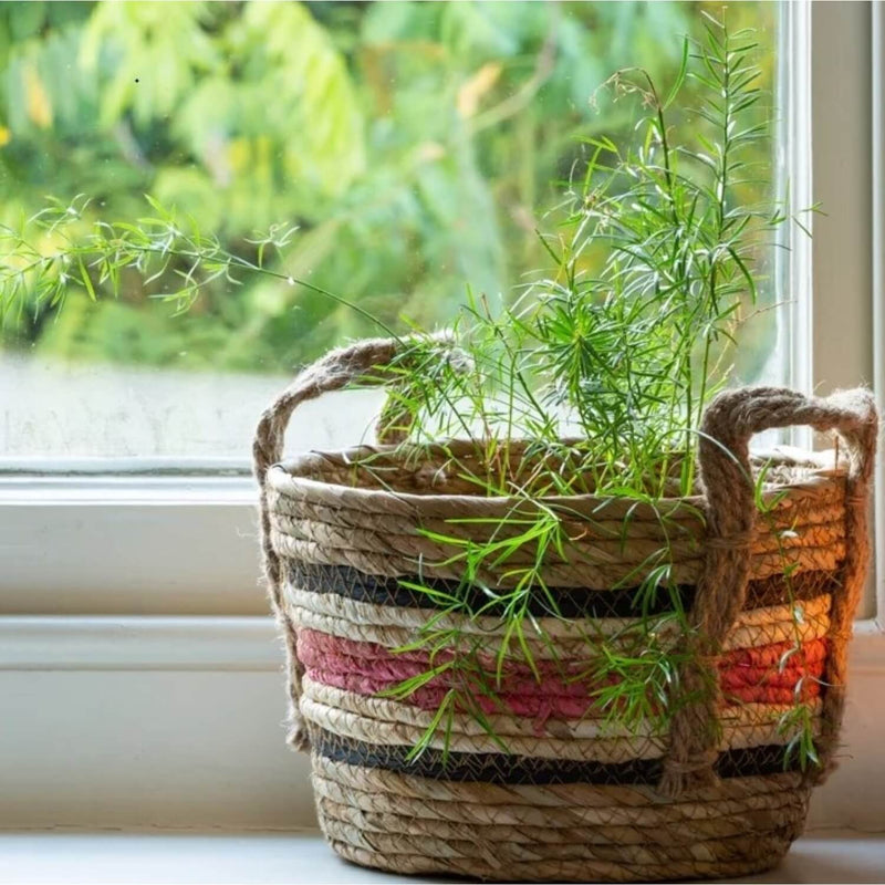 STRAW & CORN BASKETS Rose Stripe